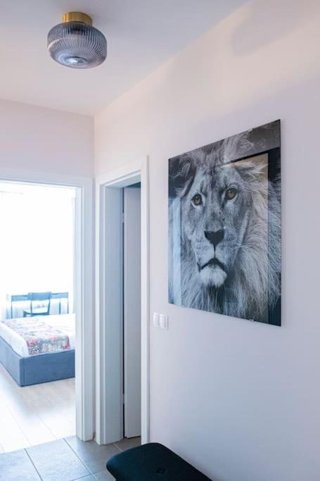 Tokiyo: A Lovely City Center 2 Bedrooms Apartment With Private Parking Sofya Dış mekan fotoğraf